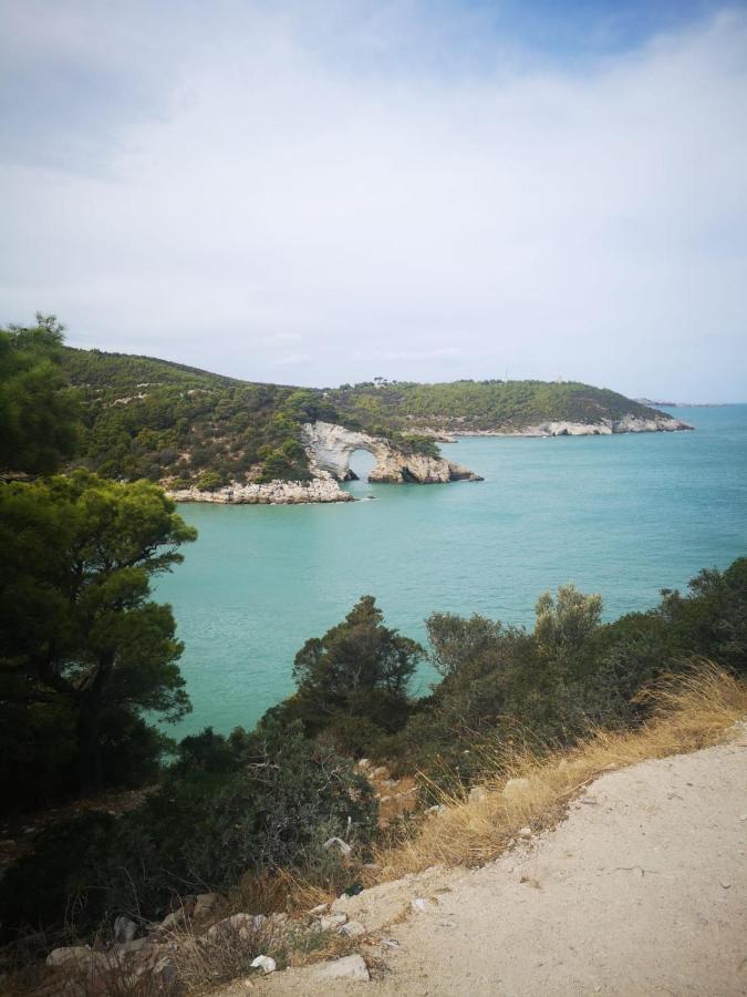 Vieste Holiday Bagian luar foto